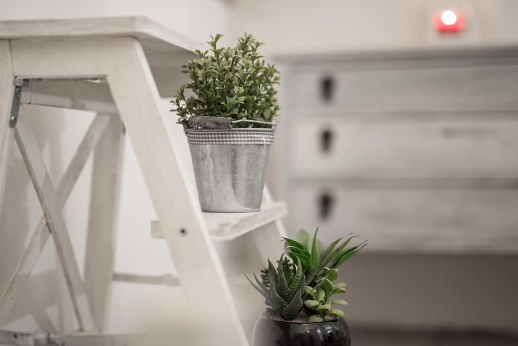 רומא Shabby Apartment @Trastevere מראה חיצוני תמונה