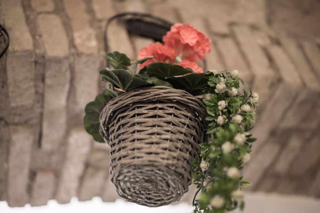 רומא Shabby Apartment @Trastevere מראה חיצוני תמונה
